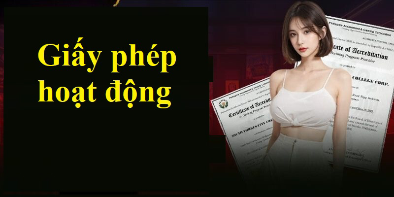 Những giấy phép hoạt động Typhu88 hiện đang sở hữu